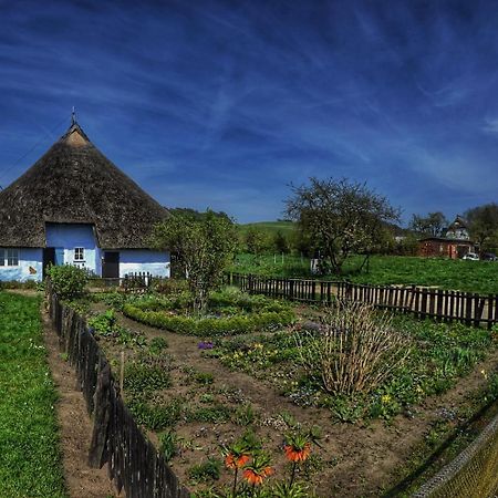 Ferienwohnung Boddenblick Groß Zicker Zewnętrze zdjęcie
